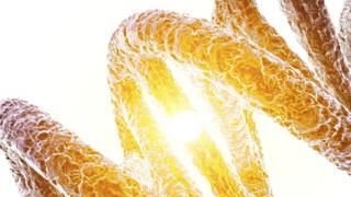 DNA