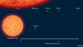 Graphic illustrating the orbital distance from Bernard's Star and the planet Bernard's Star b
