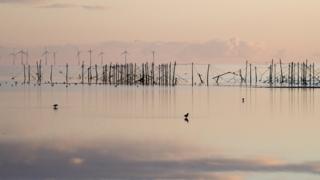 Breakfast at dawn on the solway