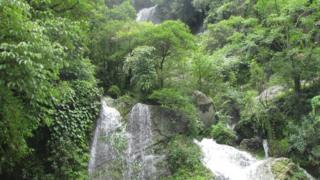 शिवपुरी-नागार्जुन राष्ट्रिय निकुञ्जको एक झरना