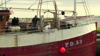 Portavogie