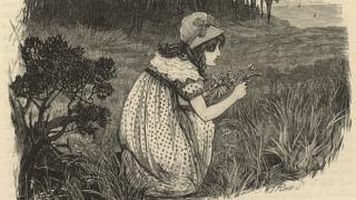 Mary Fairfax Somerville en la pradera