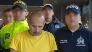 Lobo feroz detenido