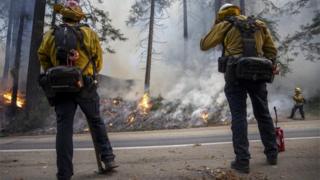 Fire fighters use back burning in a bid to tackle wildfires
