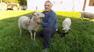 источно фризијска овца сајбер пастир