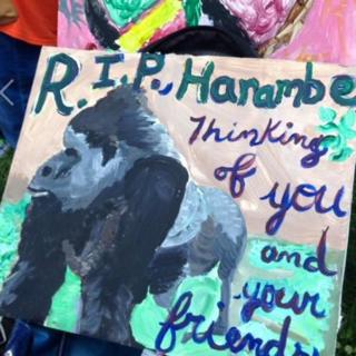 Картина гориллы. Картина гласит «Справедливость для Харамбе»