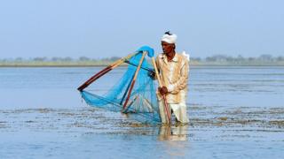 સરોવર