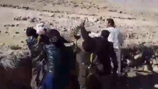 فراه