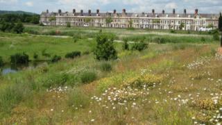 Wetland Nature Reserve, Cardiff Bay,