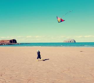 beach near North Berwick