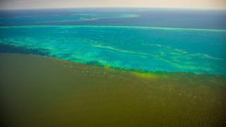 Fine sediment plumes of the Burdekin River begin to touch the former reef