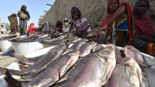 Продавцы, продающие рыбу в Бага Сола в Чаде, изображены в январе 2015 года