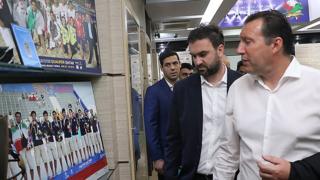 ویلموتس