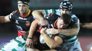 Y Dreigiau v Newcastle Falcons
