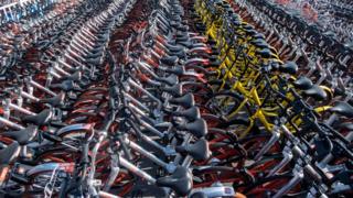 Rows of bikes in China's bike sharing scheme
