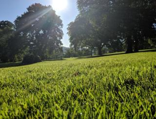 field