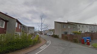 Eider Avenue