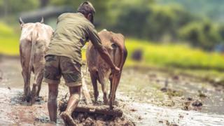 26ஆவது வாரப் புகைப்படப் போட்டிக்கான தலைப்பு இதோ!