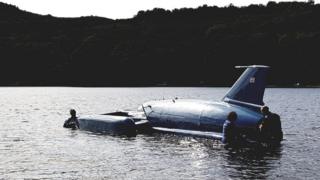 Bluebird