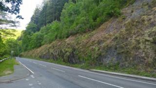 Trees on steep bank