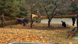 North Korean workers digging a trench at the JSA
