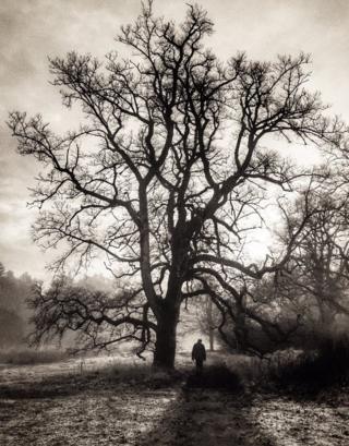 Winter walk at Haddo Country Park, Aberdeenshire