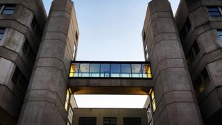 Department of Zoology