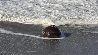 What appears to be an aged explosive device washed up on a beach