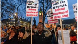 Протестующие Brexit в центральном Лондоне