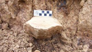 Herramienta de piedra