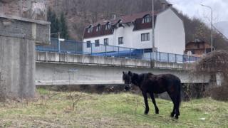 Мурино, 11. април 2019.