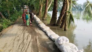 নাটোর