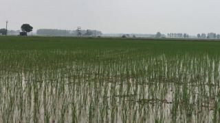 गनिये का बेट