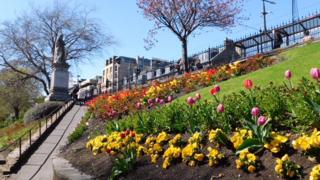 Princes Street Gardens
