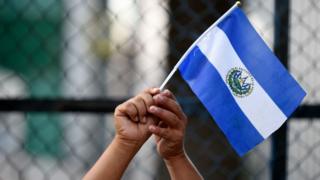 A protesters waves a Honduran flag
