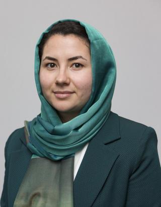 افغانستان