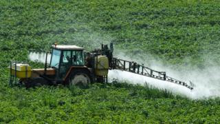 Una máquina rocía un pesticida