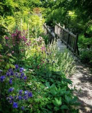 Flowers in a garden by a bridge