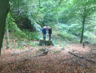 Children standing on a log in a the woods