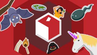 pemilu, pilkada, kamus istilah, cebong, kampret