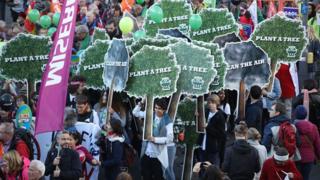 COP23