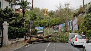   View of a fallen tree in a street following violent winds hitting Naples, in southern Italy, October 29, 2018. 