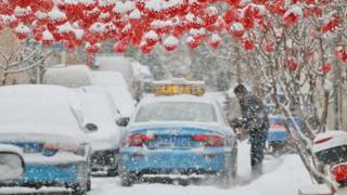 山东半岛迎春雪