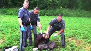 Police stand over David Sweat after he was shot and captured near the Canadian border on 28 June