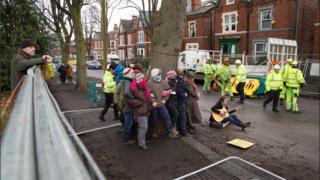 Treehuggers в Meersbrook Park Rd, понедельник, 22 января 2018 года