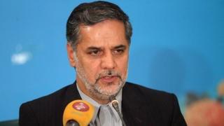 حسین نقوی حسینی