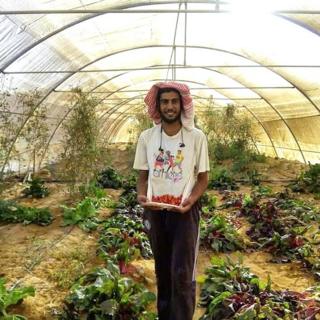 Les légumes bio poussent sans problème