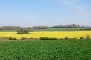 Green and yellow fields in front of Racton Monument