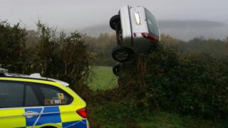 Car in hedge
