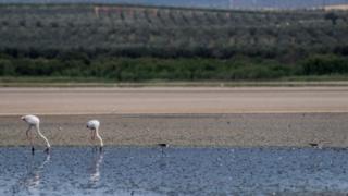 Global Warming Set To Break Key 1.5C Limit For First Time - BBC News